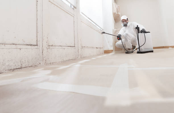 24/7 Emergency Commercial Mold Remediation experts in Midland, NC